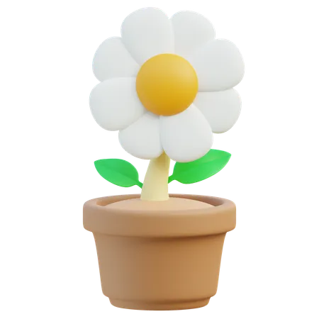 Sunflower  3D Icon