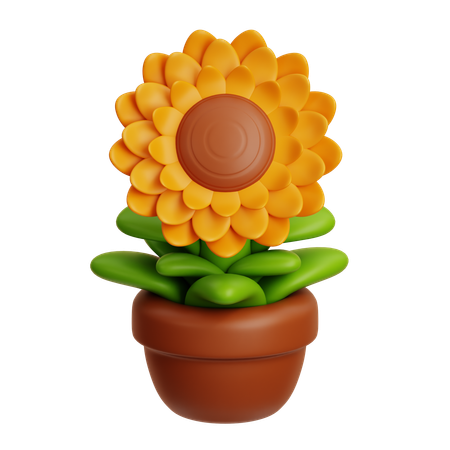 Sunflower  3D Icon