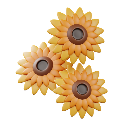 Sunflower  3D Icon