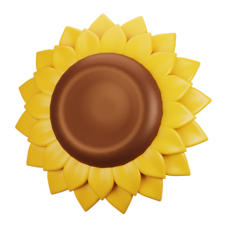 Sunflower  3D Icon