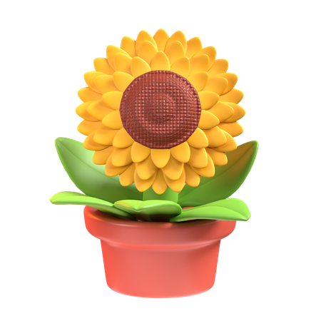Sunflower  3D Icon