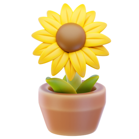 Sunflower  3D Icon