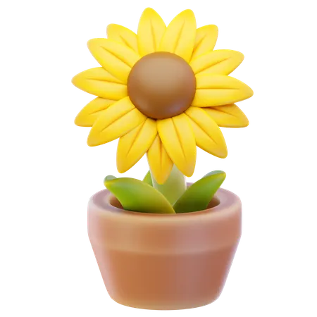 Sunflower  3D Icon