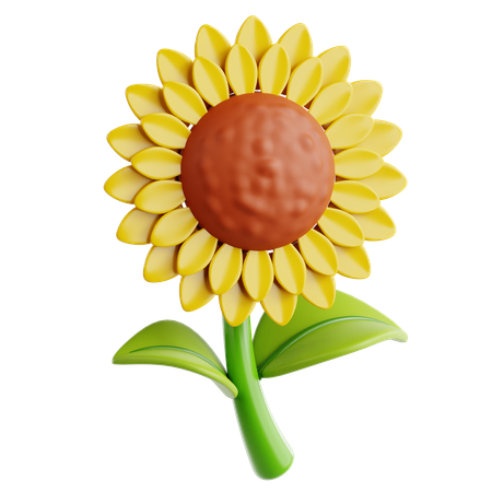 Sunflower  3D Icon