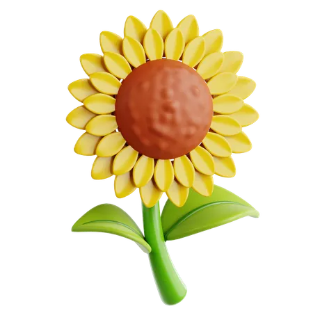 Sunflower  3D Icon