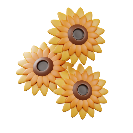 Sunflower  3D Icon