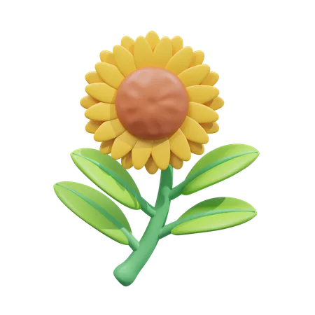 Sunflower  3D Icon