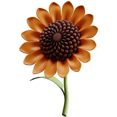 Sunflower  3D Icon