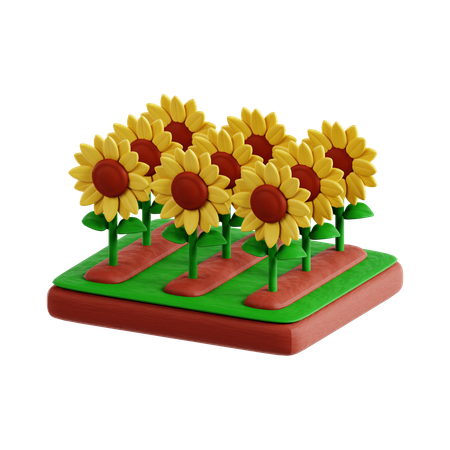 Sunflower  3D Icon