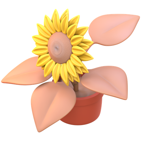 Sunflower  3D Icon