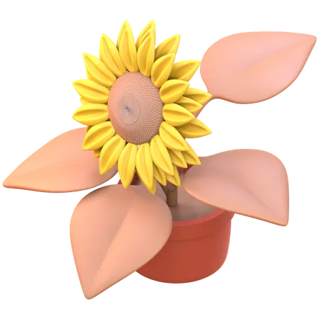 Sunflower  3D Icon