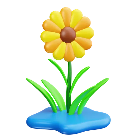 Sunflower  3D Icon