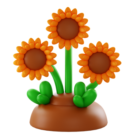 Sunflower  3D Icon