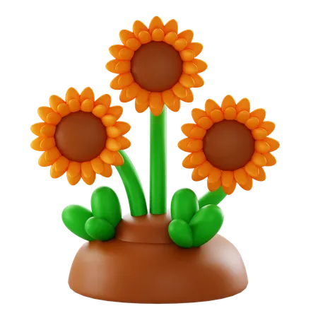 Sunflower  3D Icon