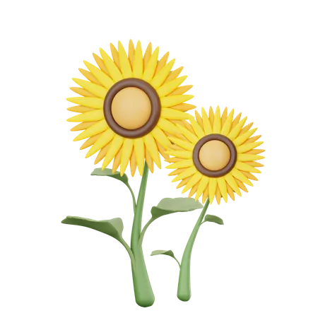 Sunflower  3D Icon