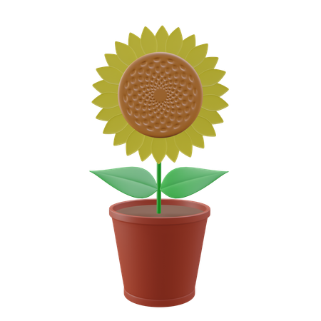 Sunflower  3D Icon