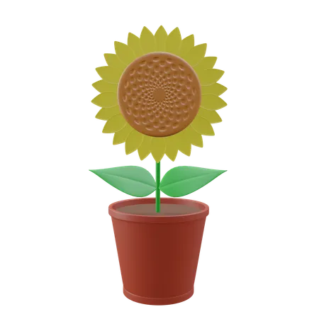 Sunflower  3D Icon