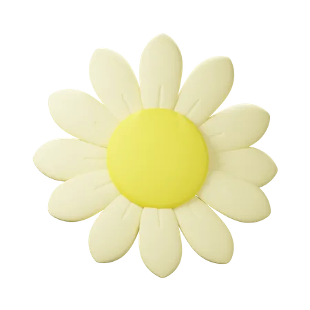 Sunflower  3D Icon