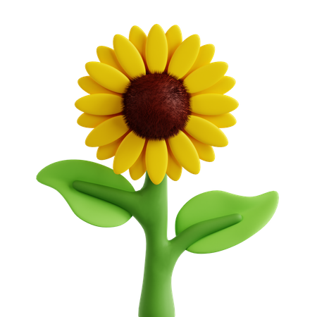 Sunflower  3D Icon