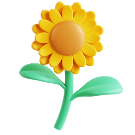 Sunflower  3D Icon