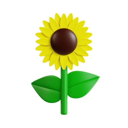 Sunflower  3D Icon