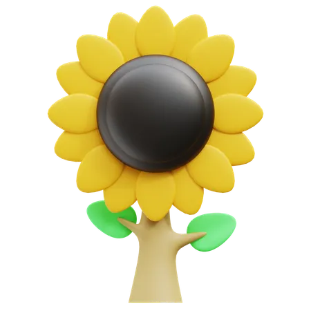 Sunflower  3D Icon