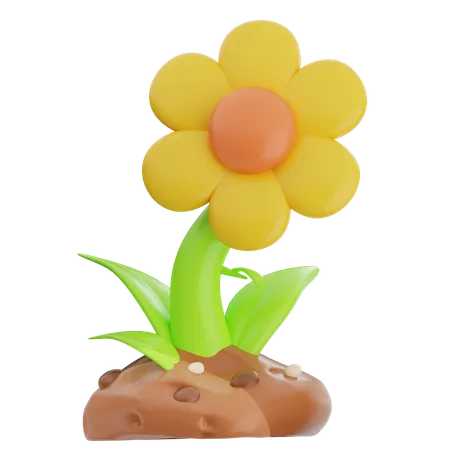 Sunflower  3D Icon