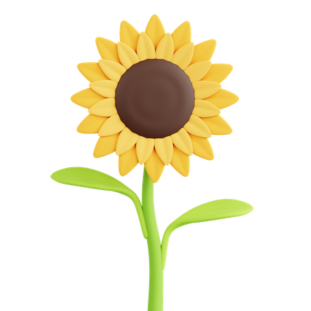 Sunflower  3D Icon