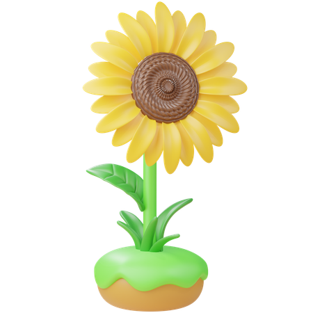 Sunflower  3D Icon