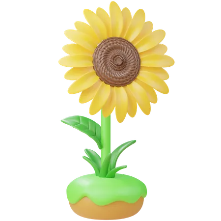 Sunflower  3D Icon