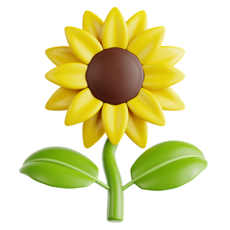 Sunflower  3D Icon