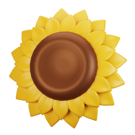 Sunflower  3D Icon