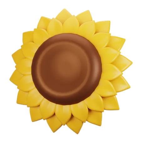 Sunflower  3D Icon