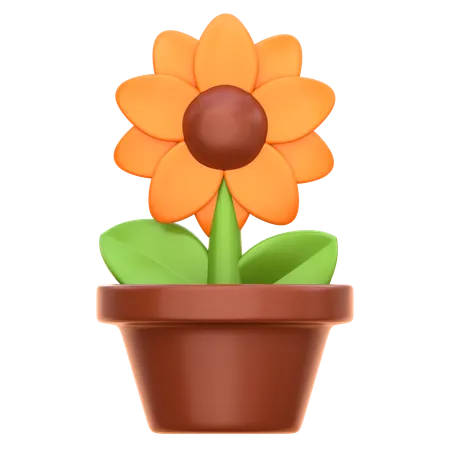 Sunflower  3D Icon