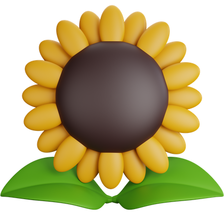 Sunflower  3D Icon