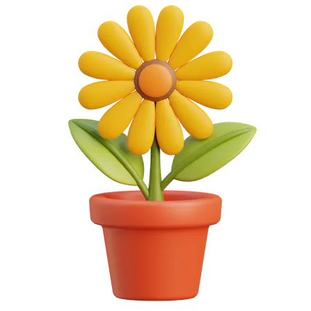 Sunflower  3D Icon