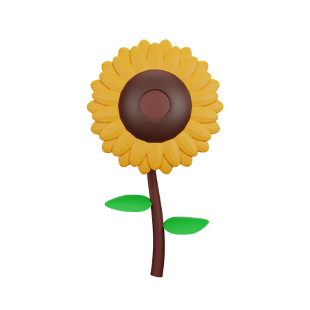 Sunflower  3D Icon