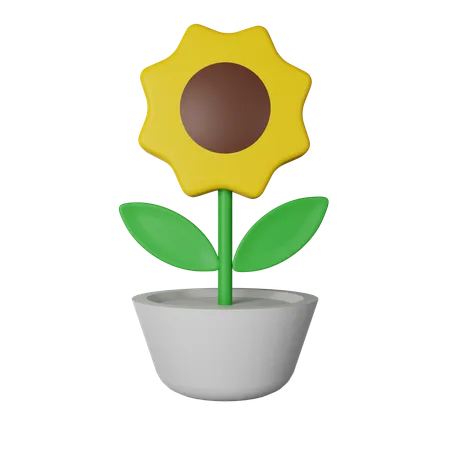 Sunflower  3D Icon