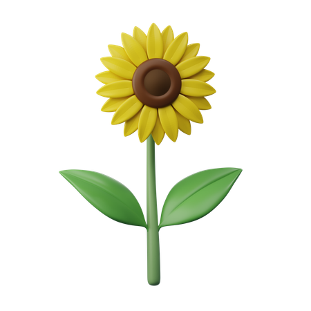 Sunflower  3D Icon