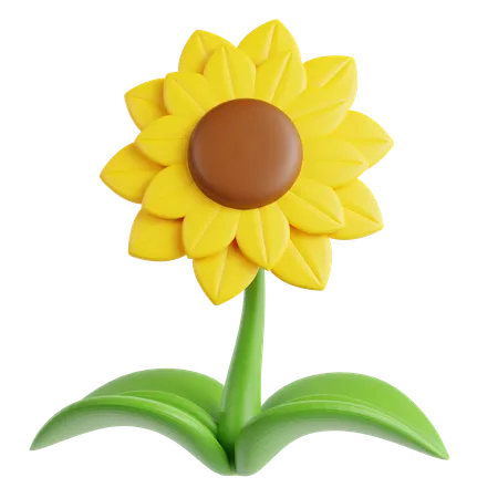 Sunflower  3D Icon