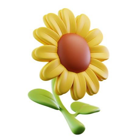 Sunflower  3D Icon