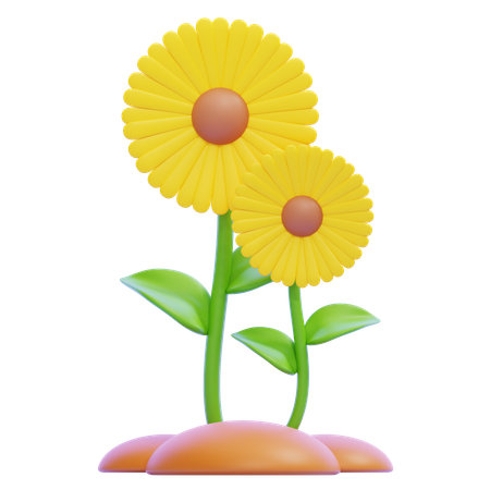 Sunflower  3D Icon