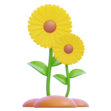 Sunflower  3D Icon