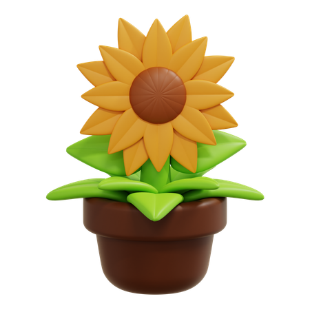 Sunflower  3D Icon