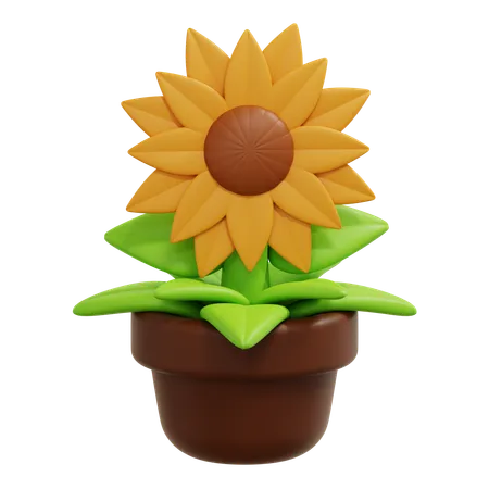 Sunflower  3D Icon