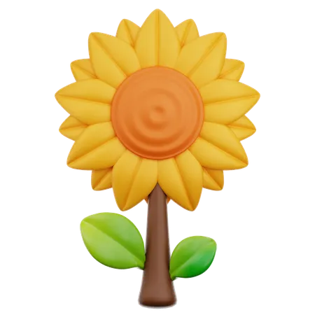 Sunflower  3D Icon