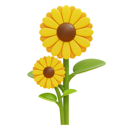 Sunflower  3D Icon