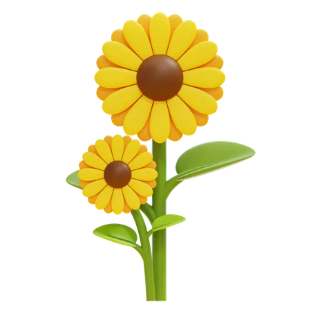 Sunflower  3D Icon