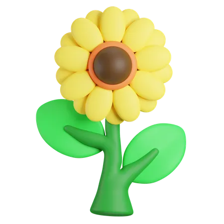 Sunflower  3D Icon