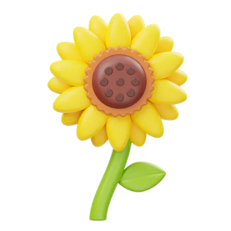 Sunflower  3D Icon